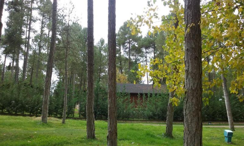 Camping Caravaning Cuenca Cuenca  Zewnętrze zdjęcie