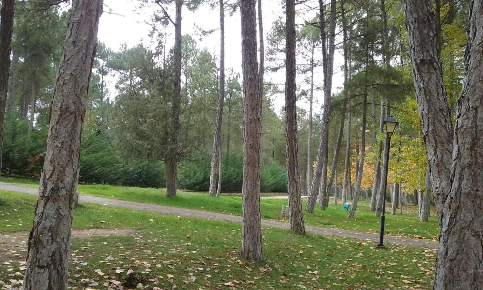 Camping Caravaning Cuenca Cuenca  Zewnętrze zdjęcie