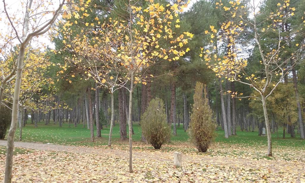 Camping Caravaning Cuenca Cuenca  Zewnętrze zdjęcie